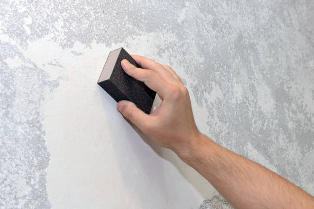Best Crawl Space Mold Remediation  in Avoca, IA