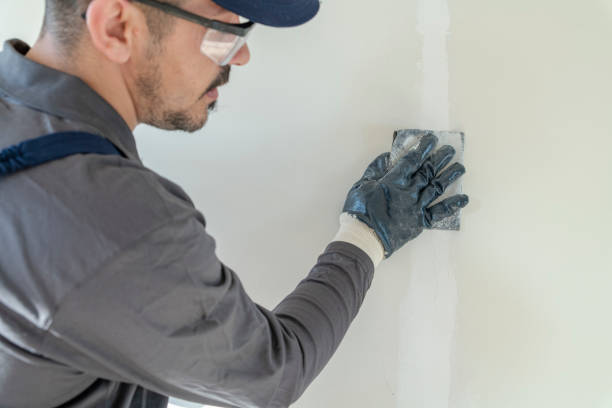 Best Crawl Space Mold Remediation  in Avoca, IA