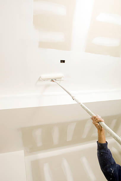 Best Mold Documentation for Insurance Claims  in Avoca, IA