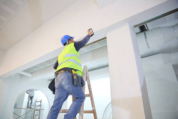Best Environmental Consulting for Mold Prevention  in Avoca, IA