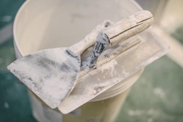 Best Mold Remediation for Healthcare Facilities  in Avoca, IA